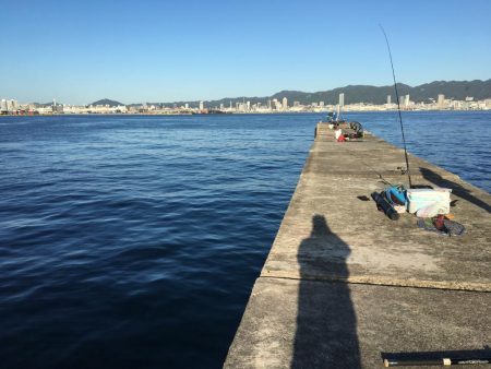 太刀魚、サゴシ